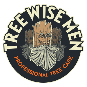 Tree Wise Men, Professional Tree Care