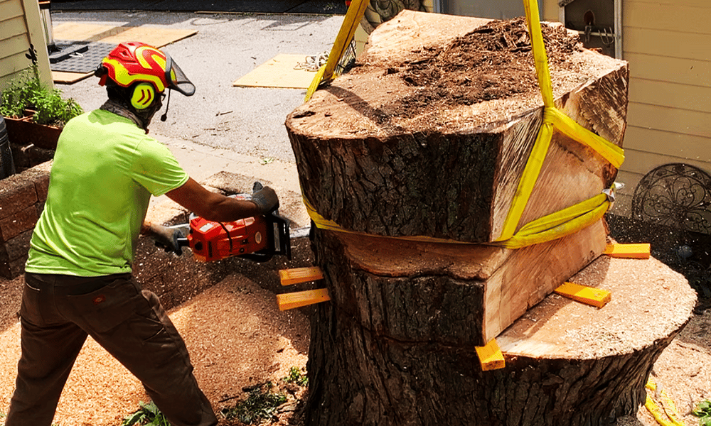 Stump Removal