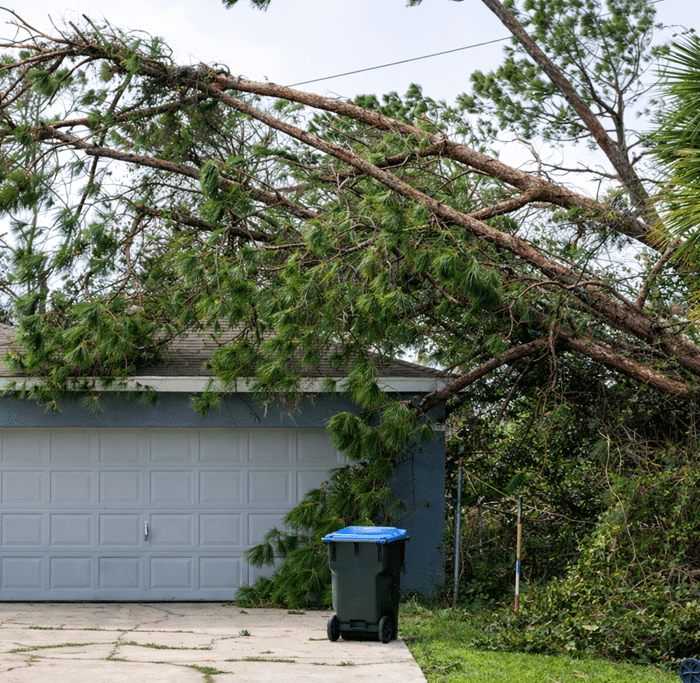 Emergency Tree Removal in Omaha | What to do After a Storm - Your Tree ...