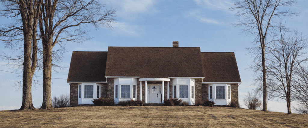 How Drought Affects Nebraska Trees — What Homeowners Can Do