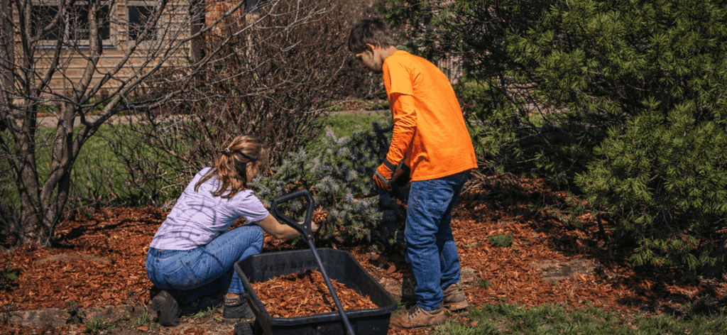 Summer Tree Care Checklist for Nebraska & Iowa Homeowners